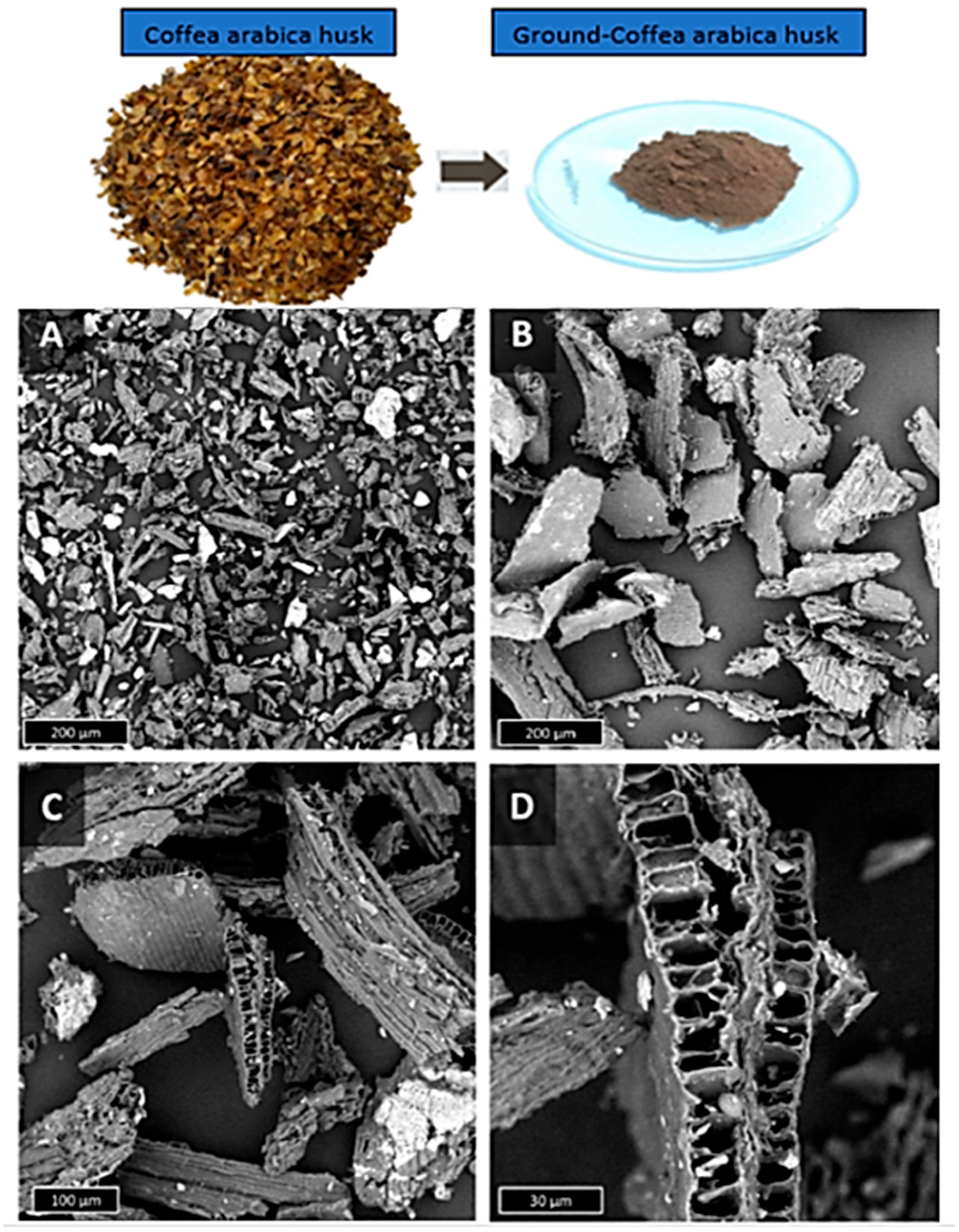 Polymers 17 03013 g003