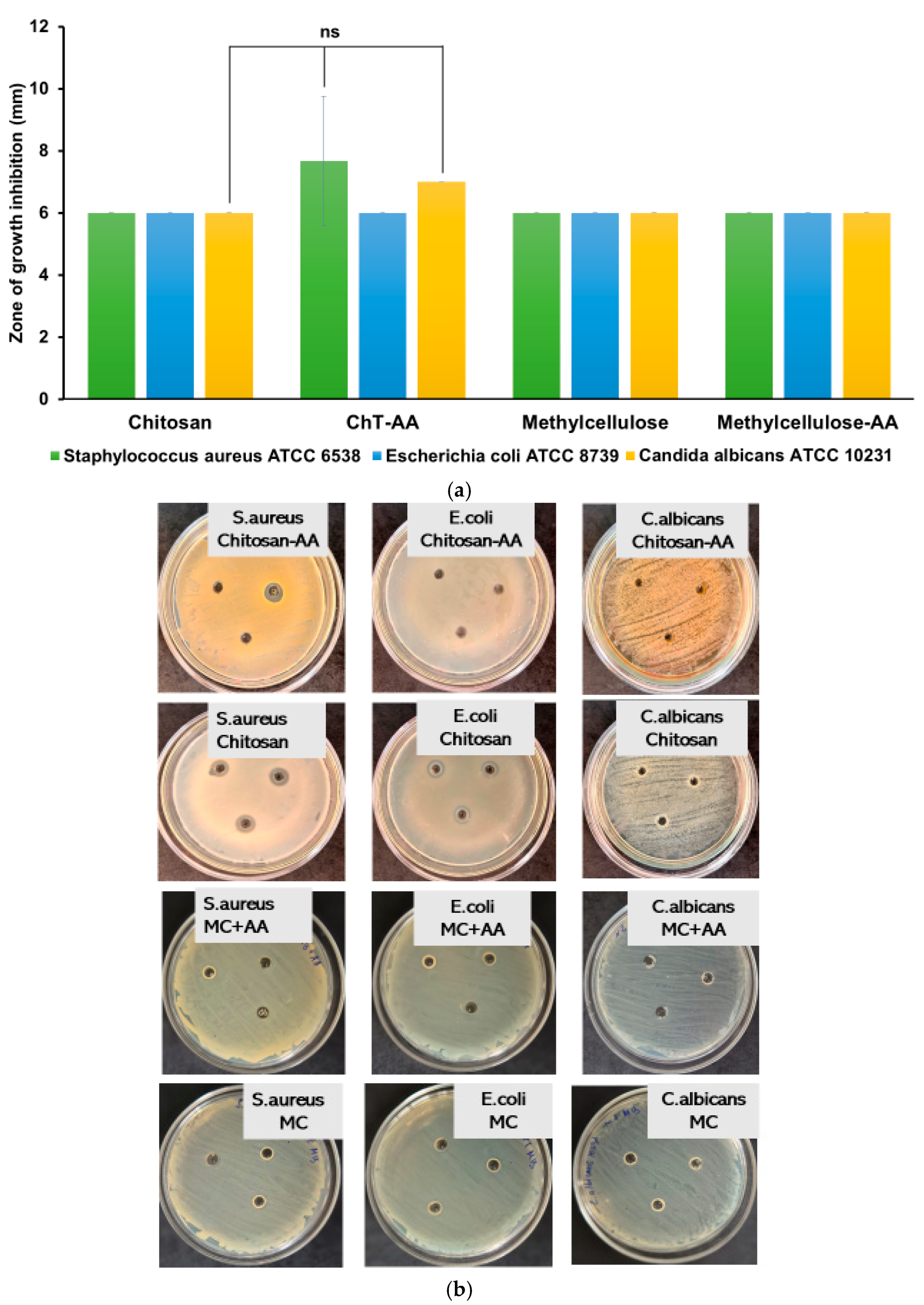 Polymers 17 03017 g007