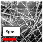 Polymers 17 03019 i002