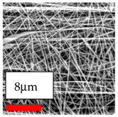 Polymers 17 03019 i003