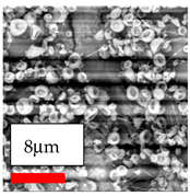 Polymers 17 03019 i004