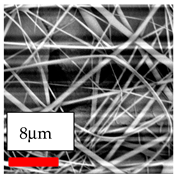 Polymers 17 03019 i005