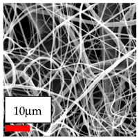 Polymers 17 03019 i006