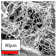 Polymers 17 03019 i008