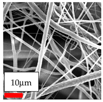 Polymers 17 03019 i009