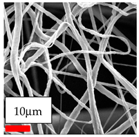 Polymers 17 03019 i010