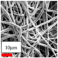 Polymers 17 03019 i011