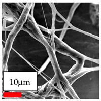 Polymers 17 03019 i012