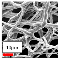 Polymers 17 03019 i013