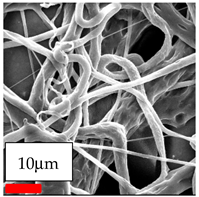Polymers 17 03019 i014