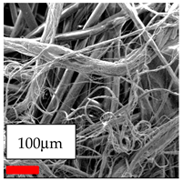 Polymers 17 03019 i015