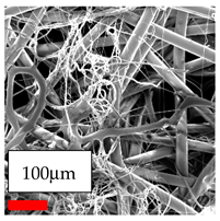 Polymers 17 03019 i016