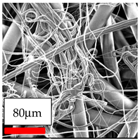 Polymers 17 03019 i017