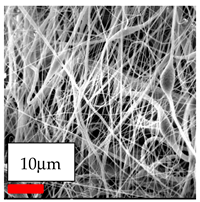 Polymers 17 03019 i018