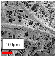 Polymers 17 03019 i019