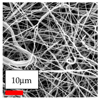 Polymers 17 03019 i023