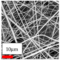 Polymers 17 03019 i024