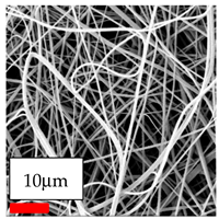 Polymers 17 03019 i025