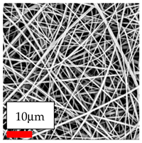 Polymers 17 03019 i026