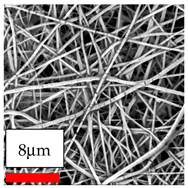 Polymers 17 03019 i027