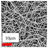 Polymers 17 03019 i028