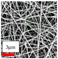 Polymers 17 03019 i030