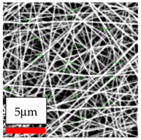 Polymers 17 03019 i031