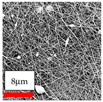 Polymers 17 03019 i032