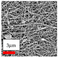 Polymers 17 03019 i033