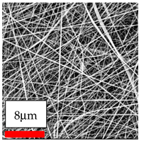 Polymers 17 03019 i034