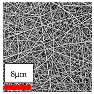 Polymers 17 03019 i036