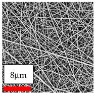 Polymers 17 03019 i037