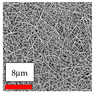 Polymers 17 03019 i039