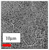 Polymers 17 03019 i040
