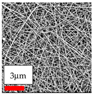 Polymers 17 03019 i041