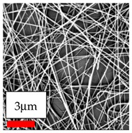 Polymers 17 03019 i043