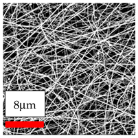 Polymers 17 03019 i044