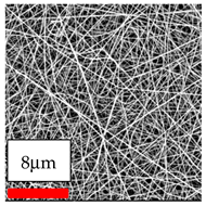 Polymers 17 03019 i046