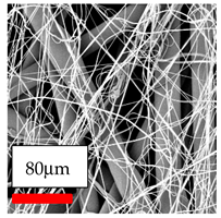 Polymers 17 03019 i047