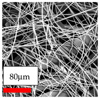 Polymers 17 03019 i048