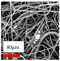 Polymers 17 03019 i049