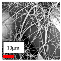 Polymers 17 03019 i050