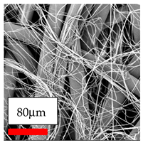 Polymers 17 03019 i051