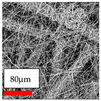 Polymers 17 03019 i052