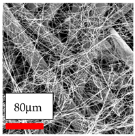 Polymers 17 03019 i053