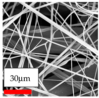 Polymers 17 03019 i054