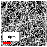 Polymers 17 03019 i055