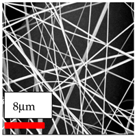 Polymers 17 03019 i056