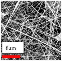 Polymers 17 03019 i057