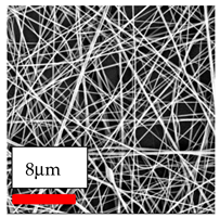 Polymers 17 03019 i058